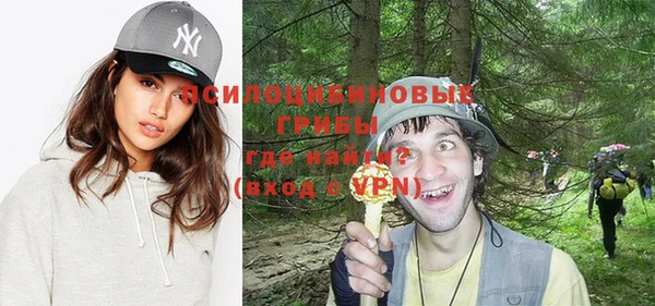 метадон Вяземский