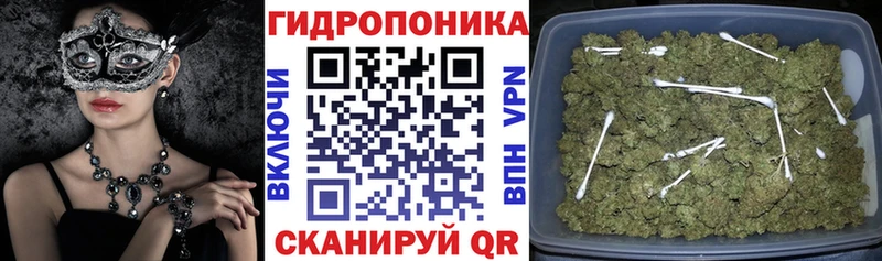 Шишки марихуана White Widow  Ноябрьск 